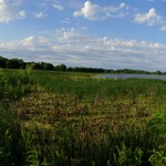 Panoramic View of Nahant Marsh